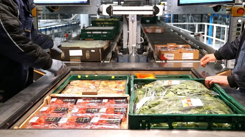 Flowpicker: Beispielhafter Aufbau der teilautomatischen Palettierung