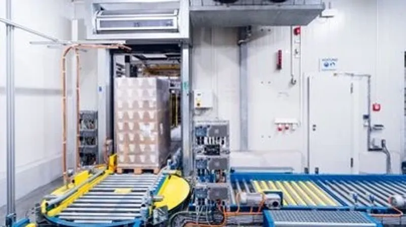 Conveyor technology for large load carriers from WDX with a gate